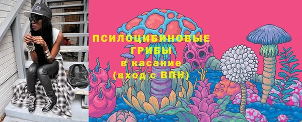 марки lsd Абаза